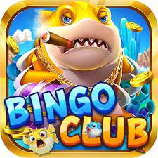 BinGo Club – Siêu cổng game bài đổi thưởng hàng đầu Việt Nam