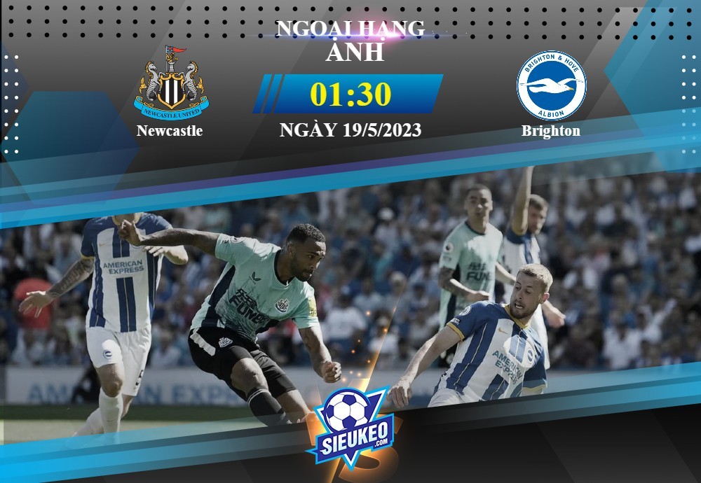 Soi kèo bóng đá Newcastle vs Brighton 01h30 ngày 19/05/2023: Đôi công mãn nhãn