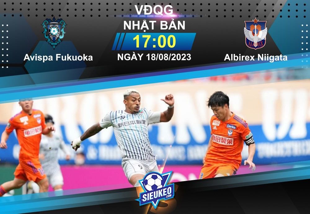 Soi kèo bóng đá Avispa Fukuoka vs Albirex Niigata 17h00 ngày 18/08/2023: Lối chơi khoa học