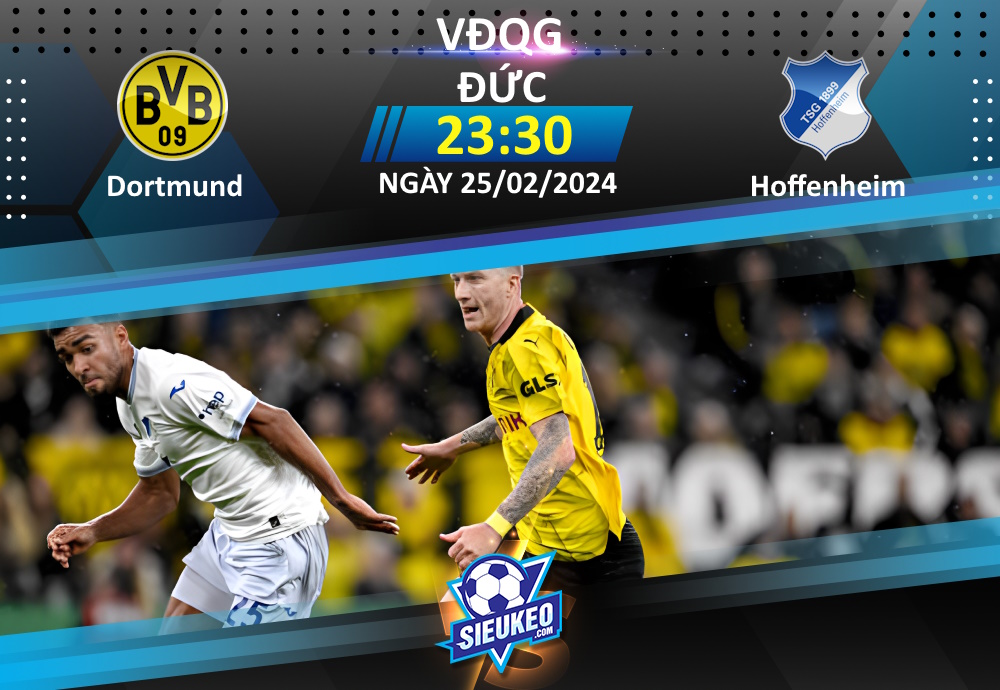 Soi kèo bóng đá Dortmund vs Hoffenheim 23h30 ngày 25/02/2024: Chủ nhà áp đảo