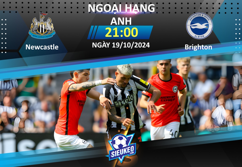 Soi kèo bóng đá Newcastle vs Brighton 21h00 ngày 19/10/2024: Chia điểm mãn nhãn